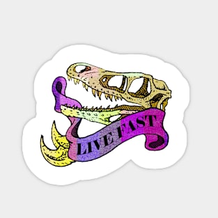 Live Fast Sticker